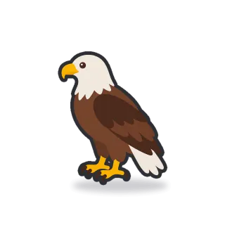 Eagle, Minimal style