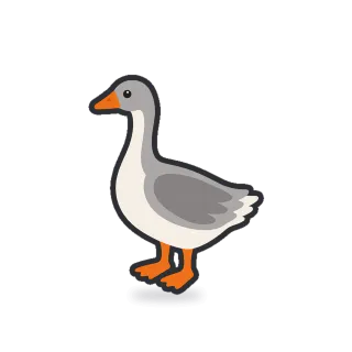 Goose, Minimal style