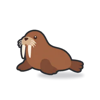 Walrus, Minimal style