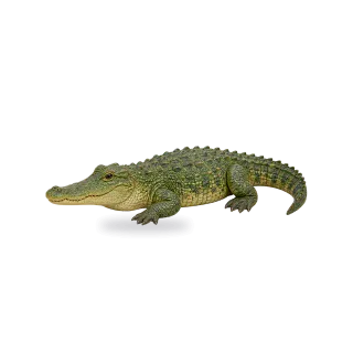 Crocodile, Realistic style