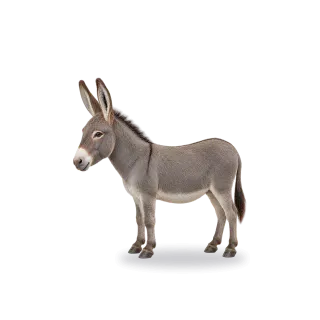 Donkey, Realistic style