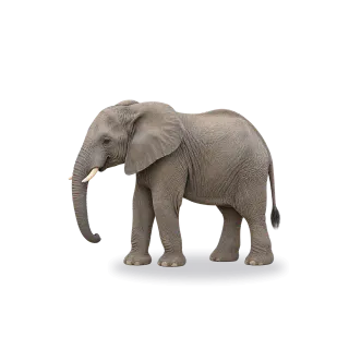 Elephant, Realistic style