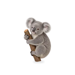 Koala, Realistic style