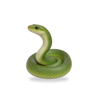 Snake, Realistic style